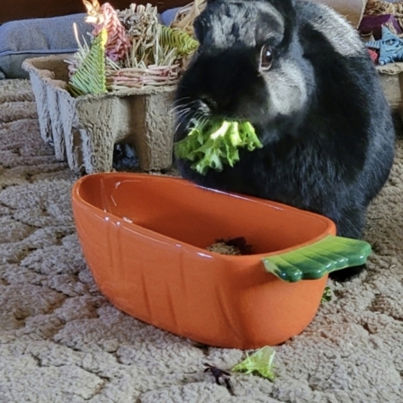 10mm Natural Blue Cat Eye - Picture 10 of 11